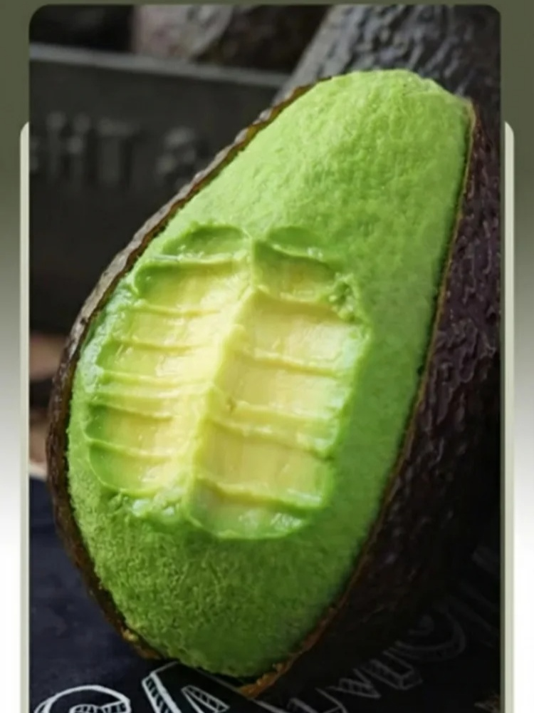 Variety Mexican Avocado Sapling (Fruits in First Year)