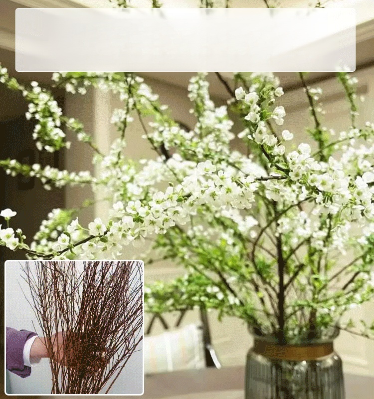 Water Blossom Dry Branch Snow Willow