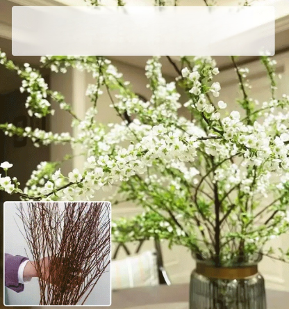 Water Blossom Dry Branch Snow Willow