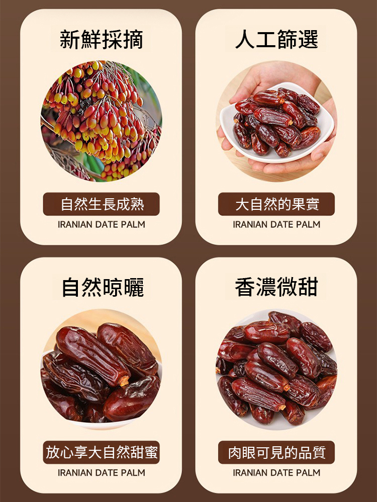 沙漠奶香黑椰棗