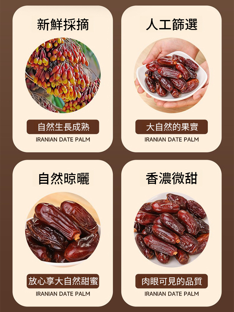 沙漠奶香黑椰棗