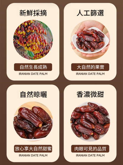 沙漠奶香黑椰棗