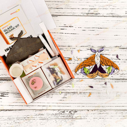 Moth Bundle Glass Mosaic Kit