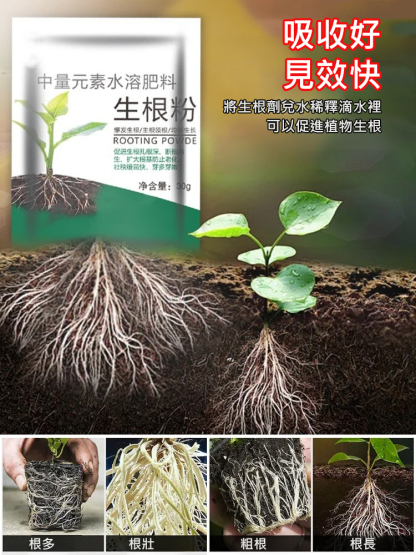 生根粉快速髮根劑