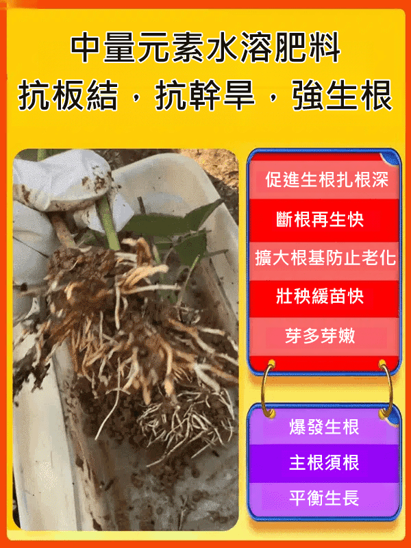 生根粉快速髮根劑