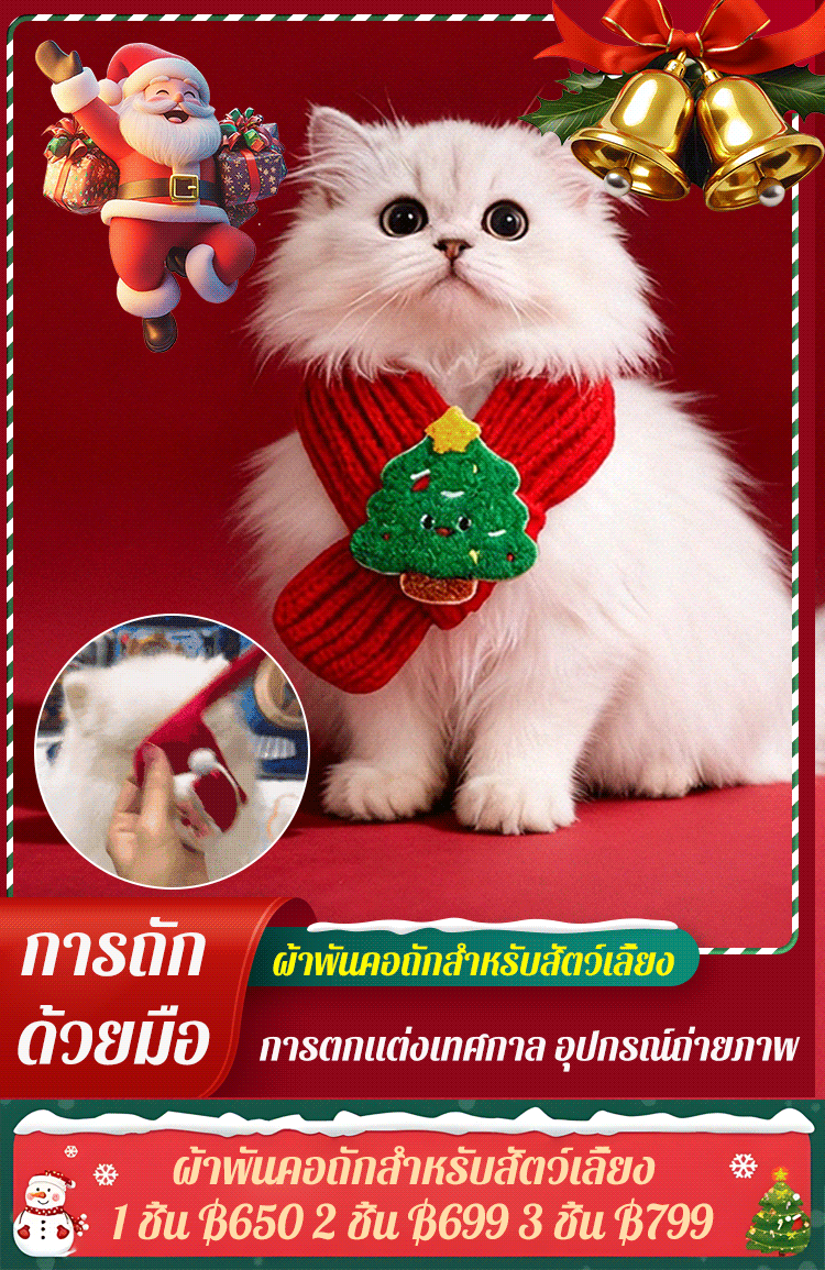 🎄🤶 ผ้าพันคอคริสต์มาส! ใช้งานง่ายและดีไซน์น่ารัก ไอเท็มที่ต้องมีสำหรับคริสต์มาสและปีใหม่!