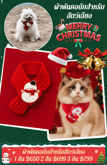 🎄🤶 ผ้าพันคอคริสต์มาส! ใช้งานง่ายและดีไซน์น่ารัก ไอเท็มที่ต้องมีสำหรับคริสต์มาสและปีใหม่!