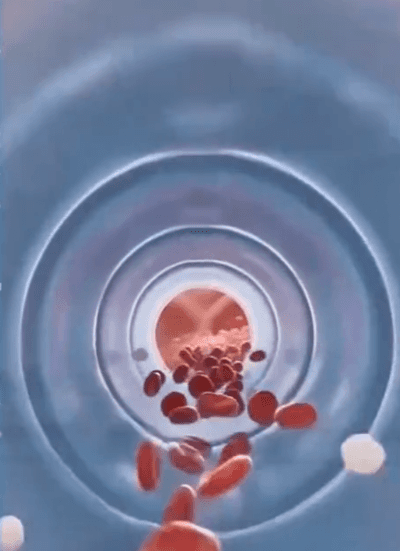 Honeycam 2026-09-21 18-52-49.gif