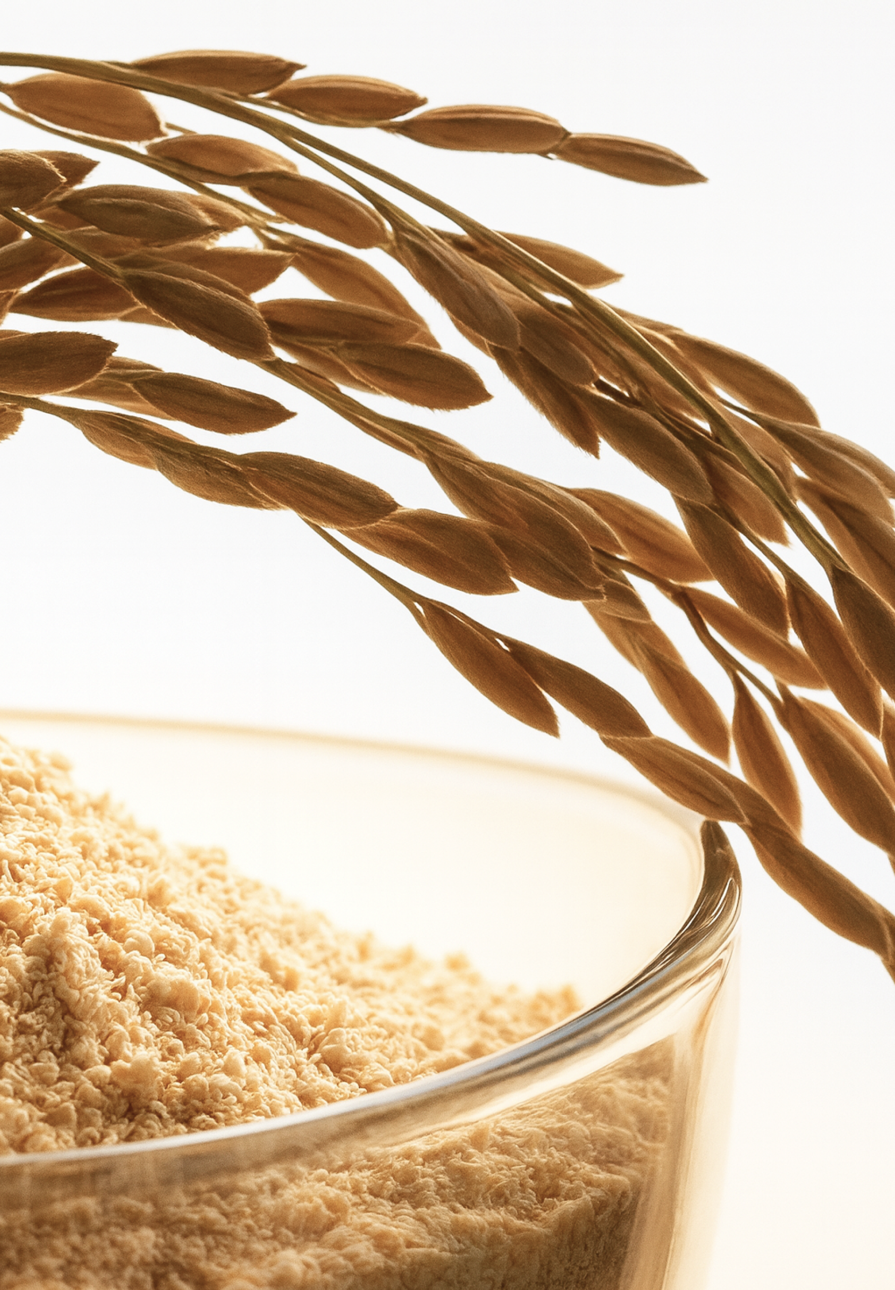 D'AMU Vita5X Biolacto Low pH Oil To Foam Cleanser 150ml