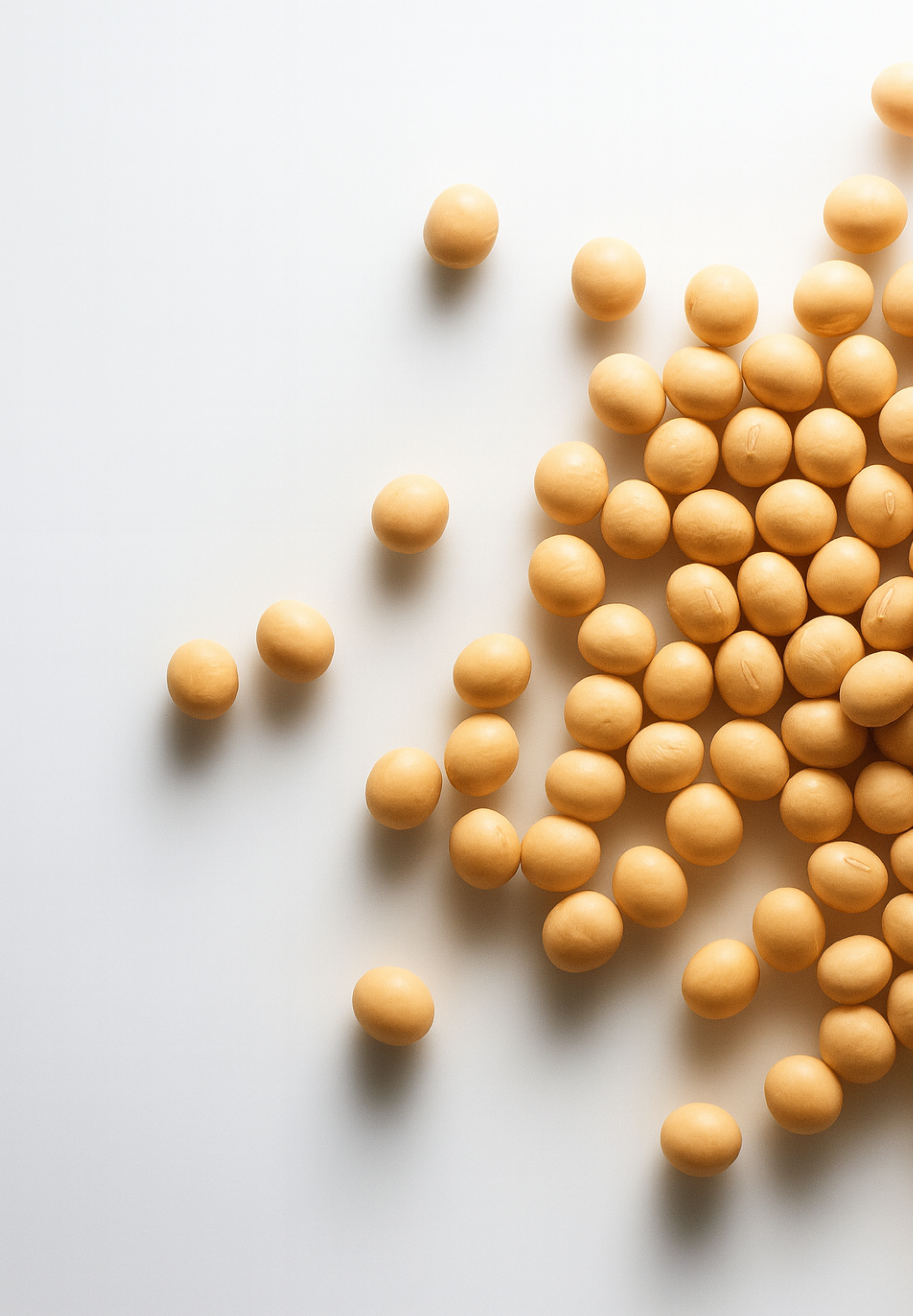 D'AMU Vita5X Real Silk Protein Cream 50ml