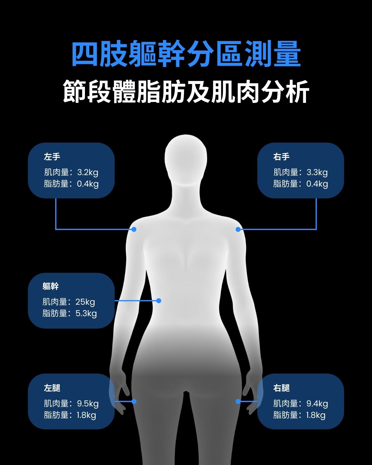 8 電極分析