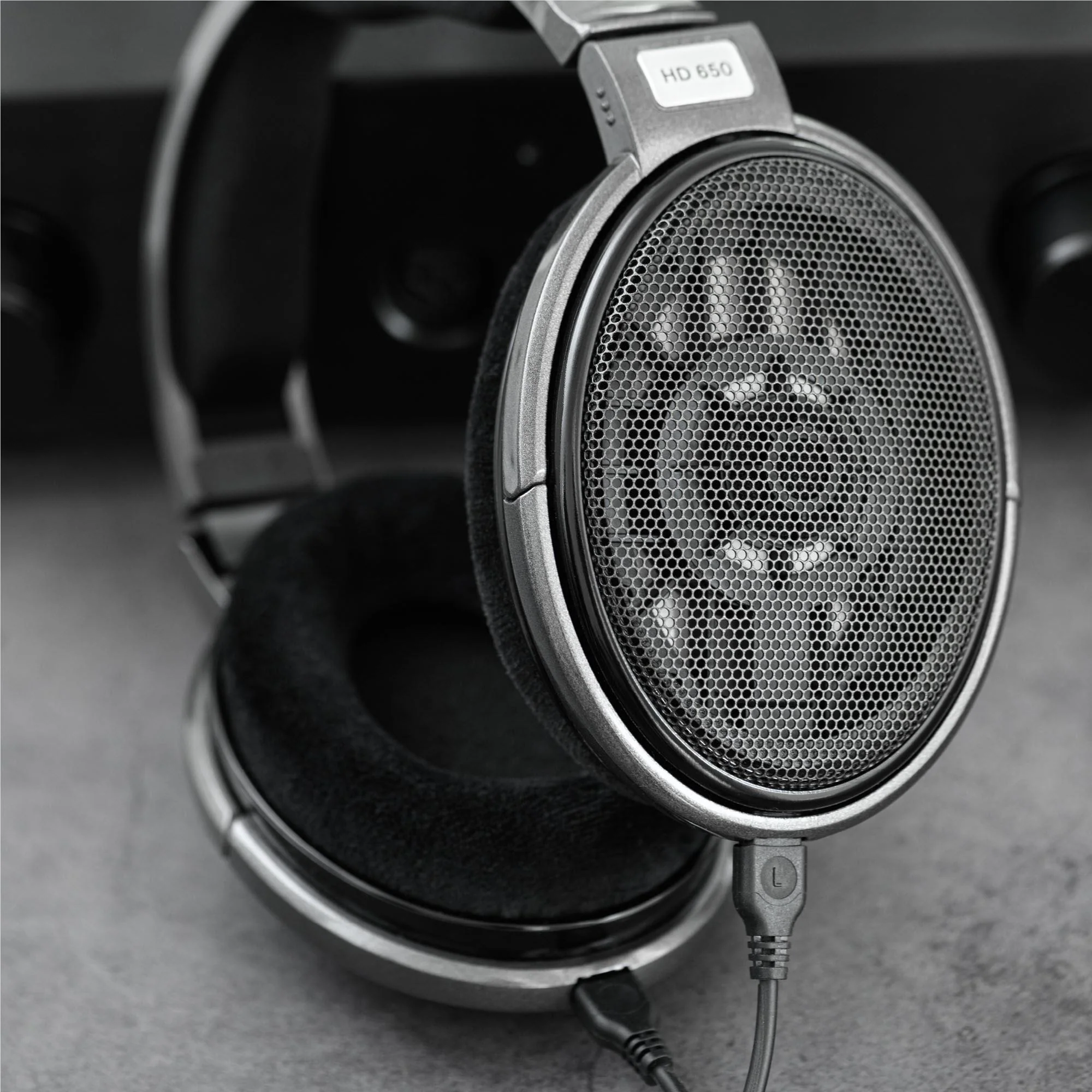 Sennheiser HD650 Open-Back Wired Over-Ear Headphones [一年保養]
