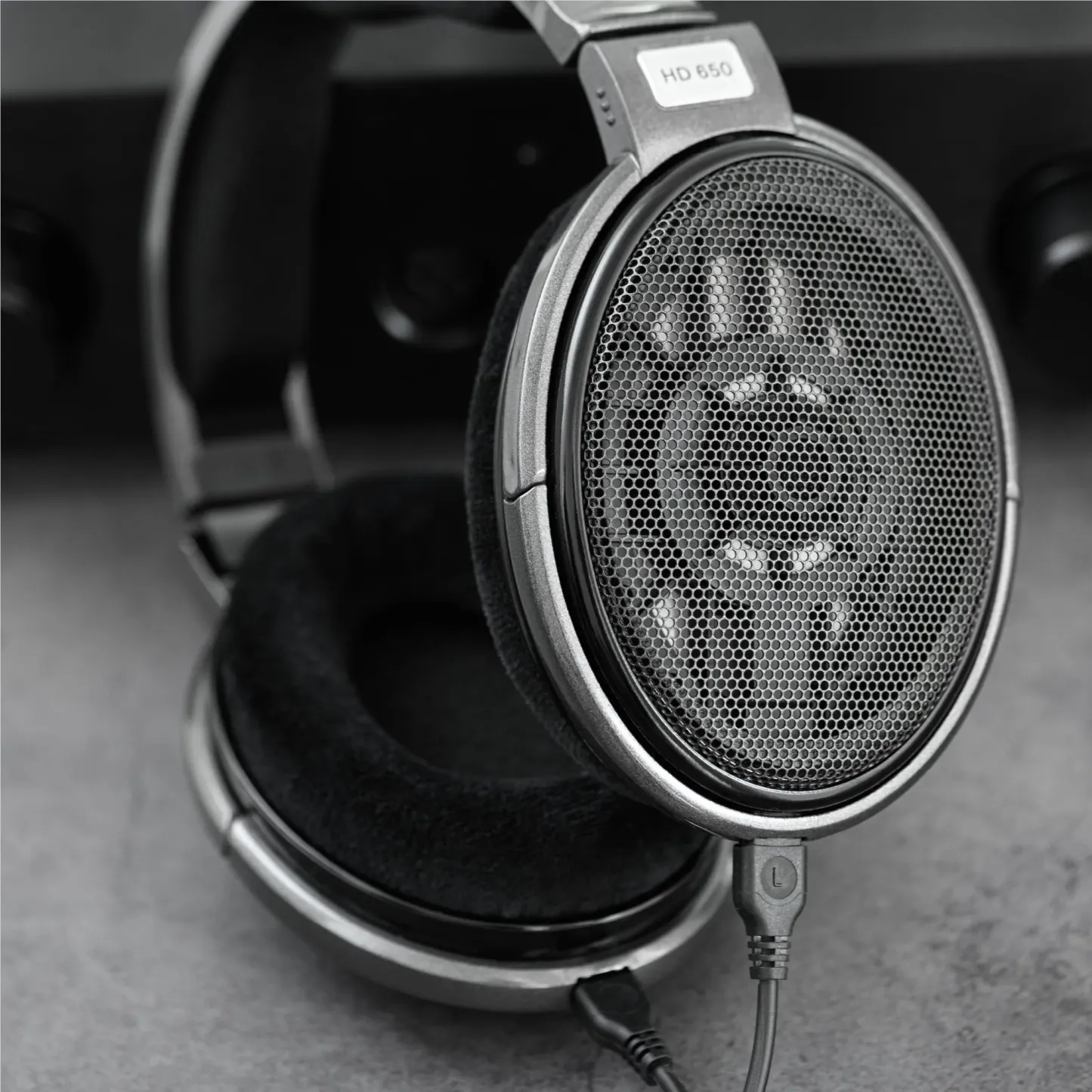 Sennheiser HD650 Open-Back Wired Over-Ear Headphones [一年保養]