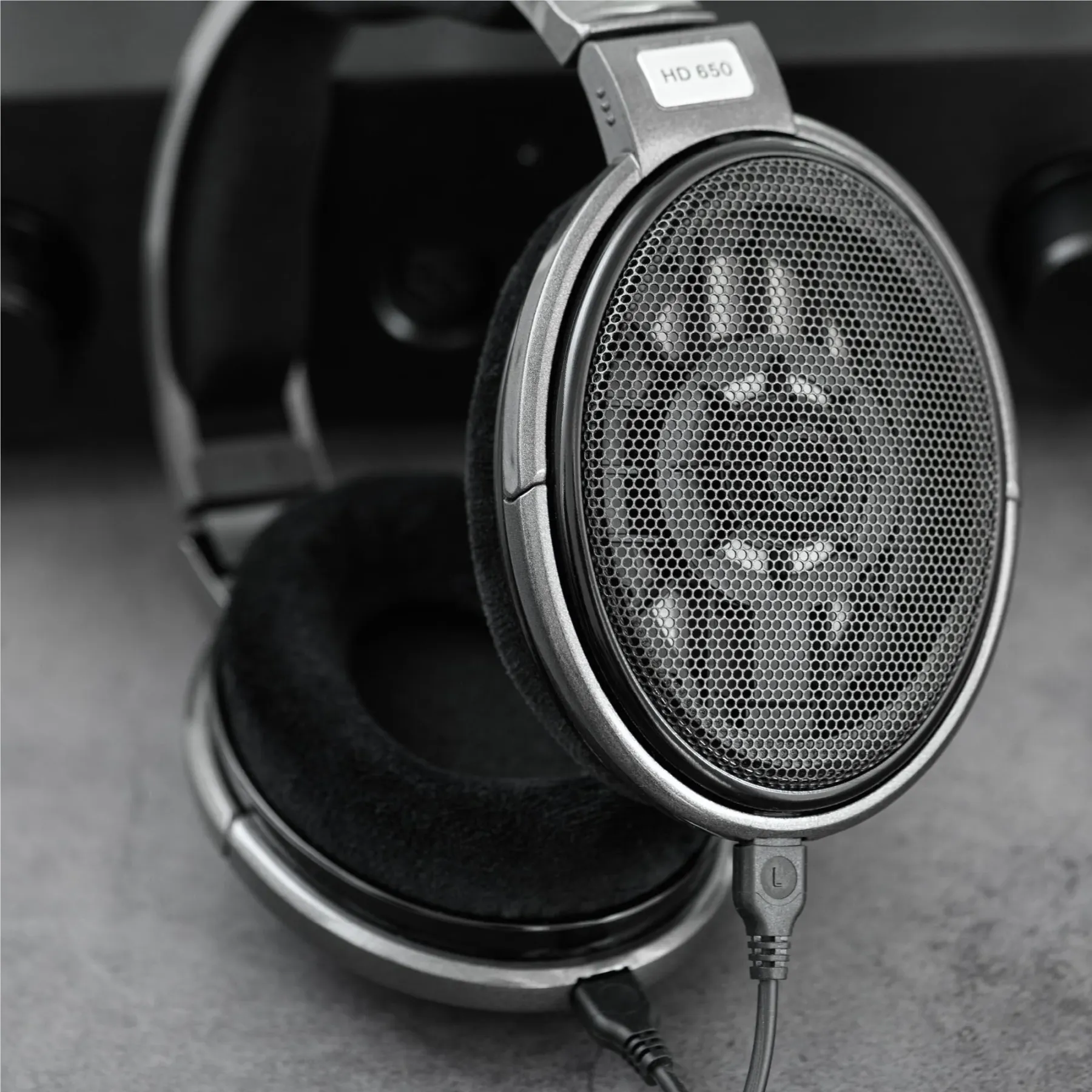 Sennheiser HD650 Open-Back Wired Over-Ear Headphones [一年保養]
