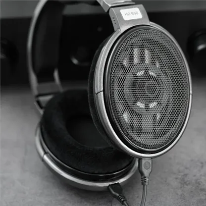 Sennheiser HD650 Open-Back Wired Over-Ear Headphones [一年保養]