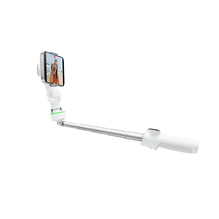 Insta360 Flow 2 Pro [香港行貨]