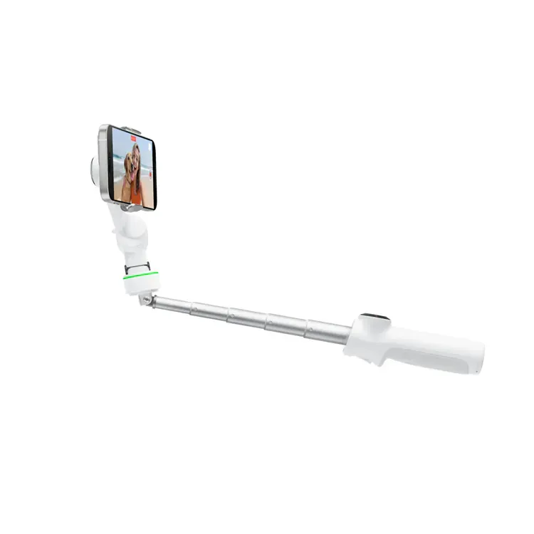 Insta360 Flow 2 Pro [香港行貨]