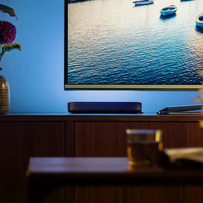 PHILIPS Hue PLAY DOUBLEPK 情境燈套裝 (2 pack) 915005733901 [香港行貨 兩年保養]-DIGIBAL ONLINE