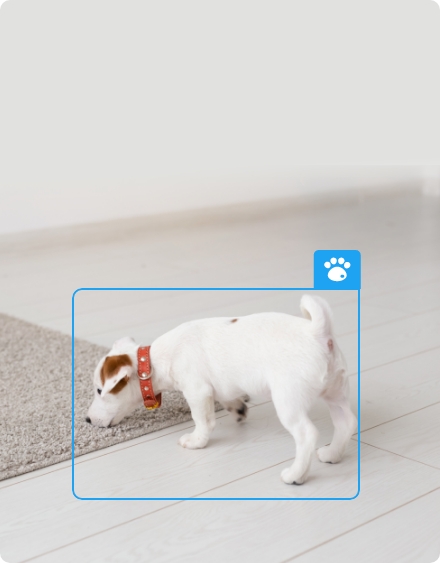 Reolink P320 5MP PoE Webcam