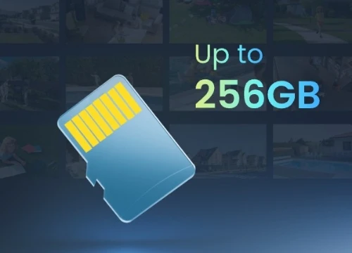 Reolink P324 | Local Storage and Recording Options