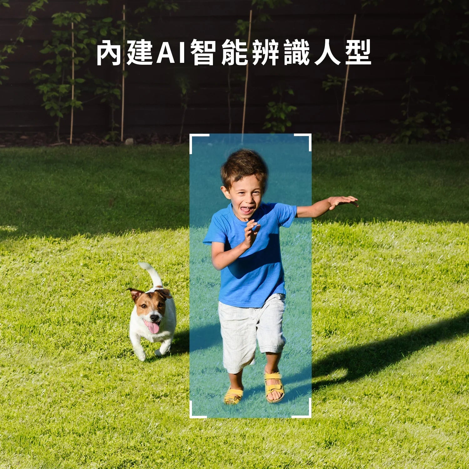 Eufy Security C210 SoloCam Wireless Indoor & Outdoor 無線家居安全攝影系統 [香港行貨] - DIGIBAL ONLINE7