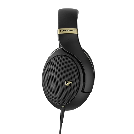 Sennheiser HD 505 開放式頭戴耳機-金色｜12Hz–38.5kHz・120Ω・音樂遊戲兩用