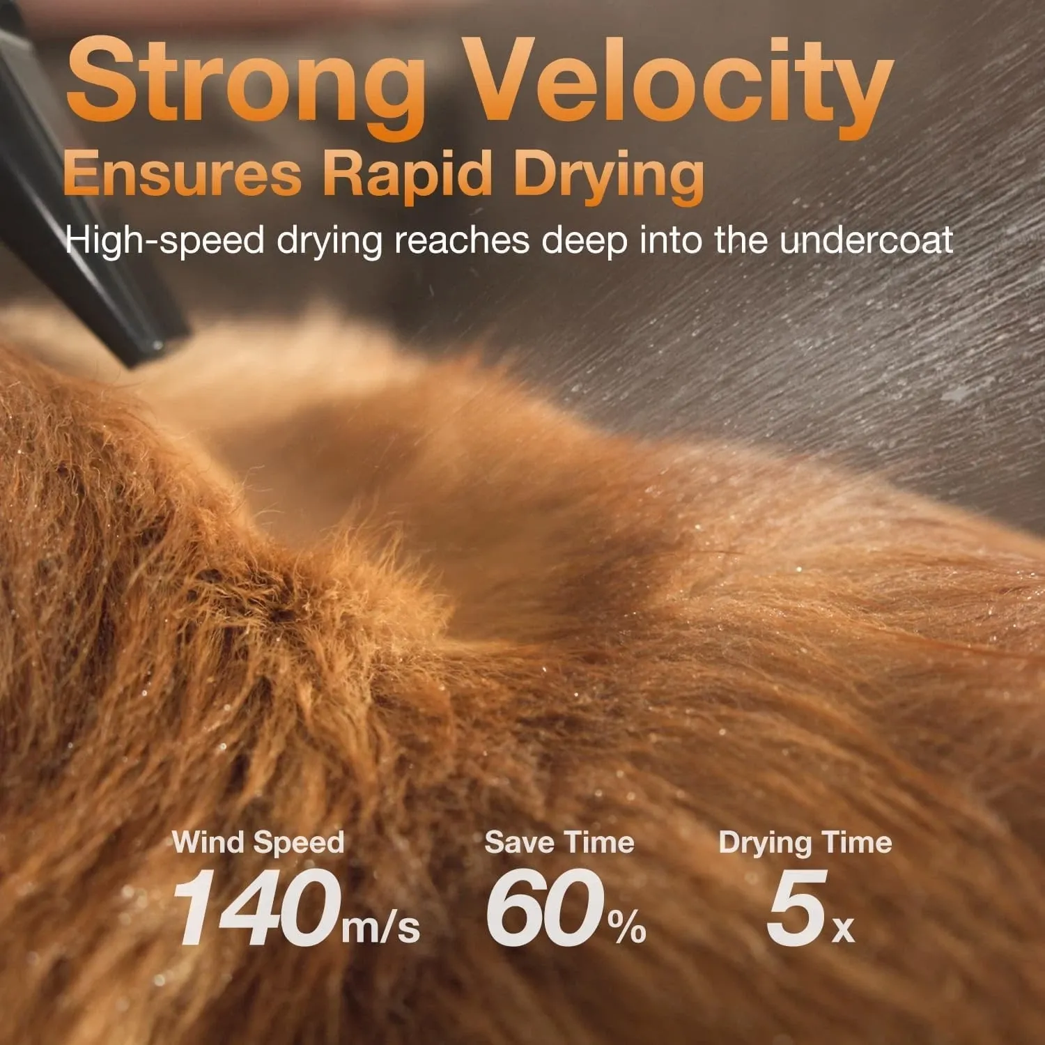 Petaboo L400 負離子智能吹毛機 [香港行貨一年保養]