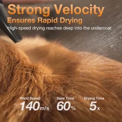 Petaboo L400 負離子智能吹毛機 [香港行貨一年保養]