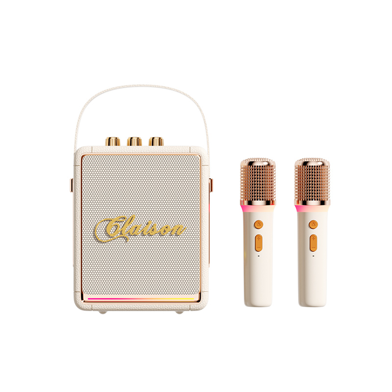 Portable Karaoke Machine with 2 Wireless Microphones & RGB Lights