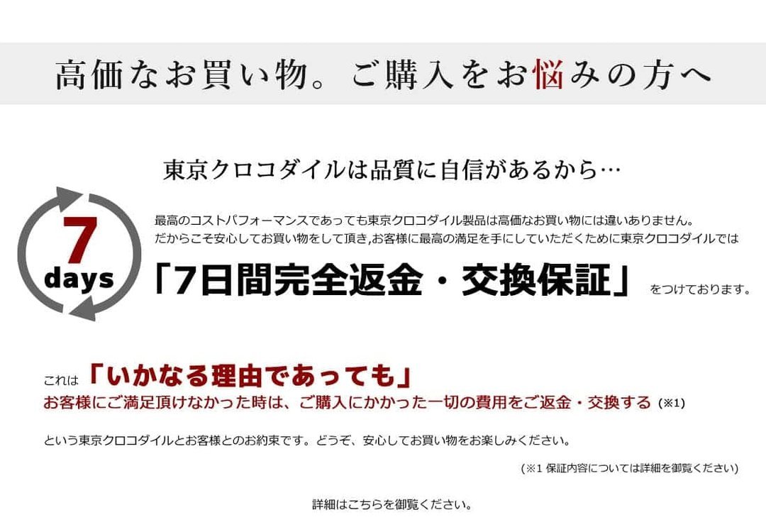 【GUCCI x THE NORTH FACE 公式 旗艦店】ダウンジャケット