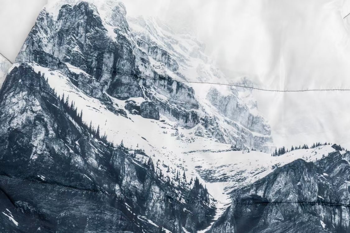 【The North Face 公式 旗艦店】雪山綿の服 ダウンジャケット