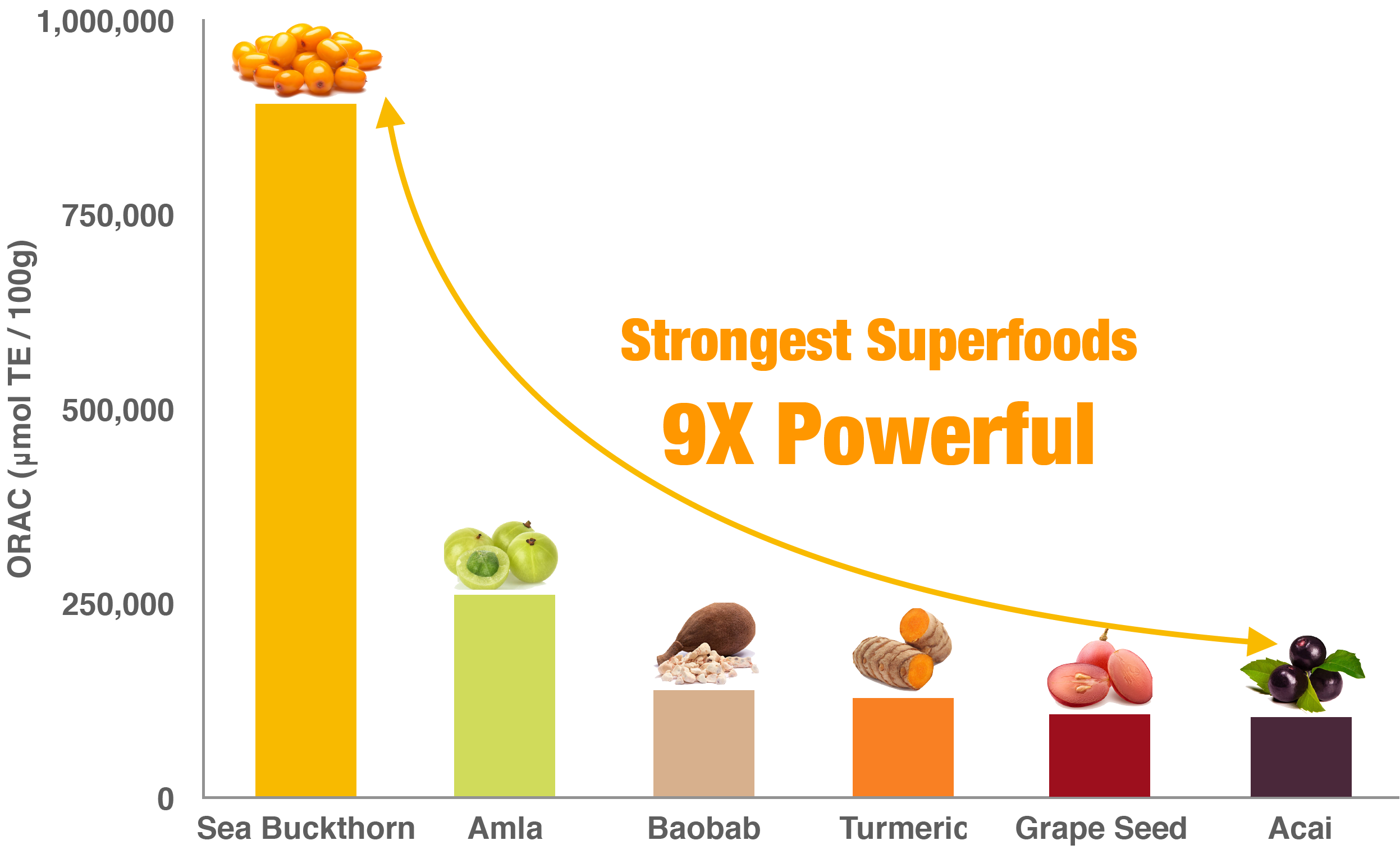 Strongest Antioxidant Superfoods: Sea Buckthorn Berry — Puredia