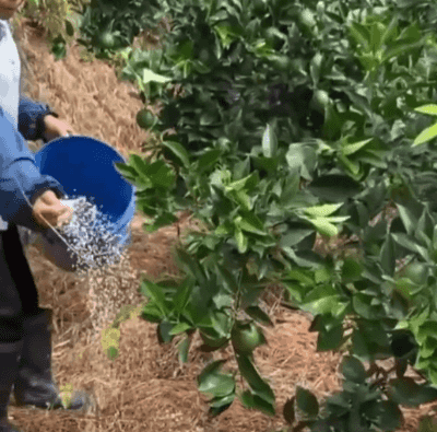 Honeycam 2025-12-01 18-21-44.gif