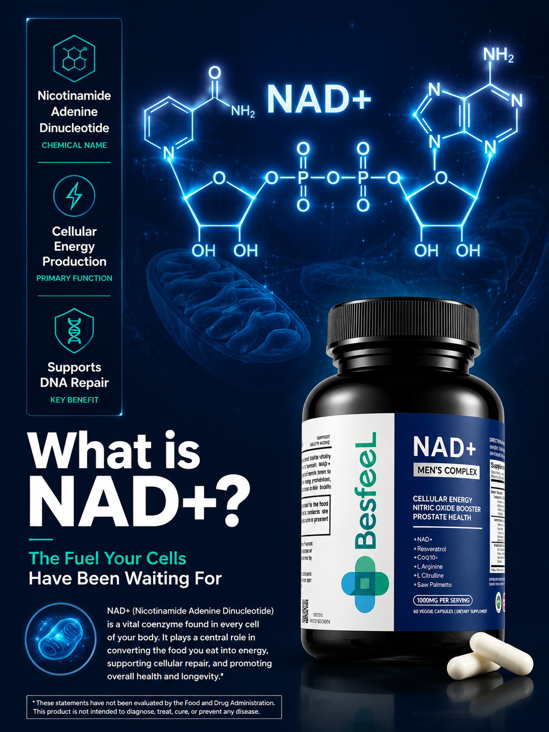 Advanced NAD+ Support for Men’s Energy & Prostate Health