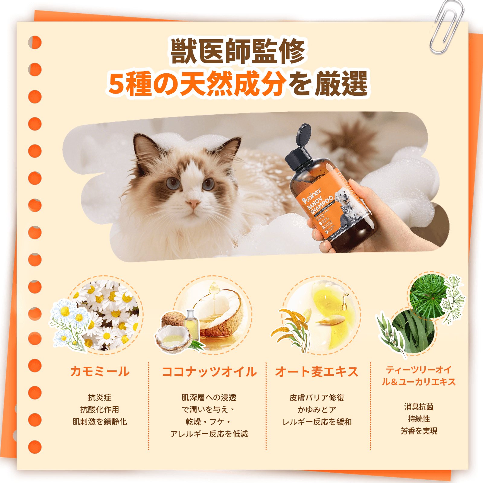 プアインタ Banov シャンプー