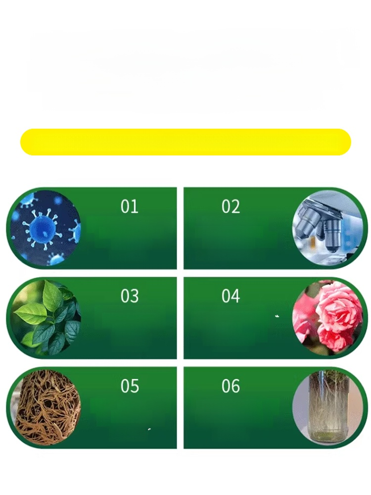 [Root Nourishing and Seedling Strengthening] Multifunctional Horticultural Fertilizer