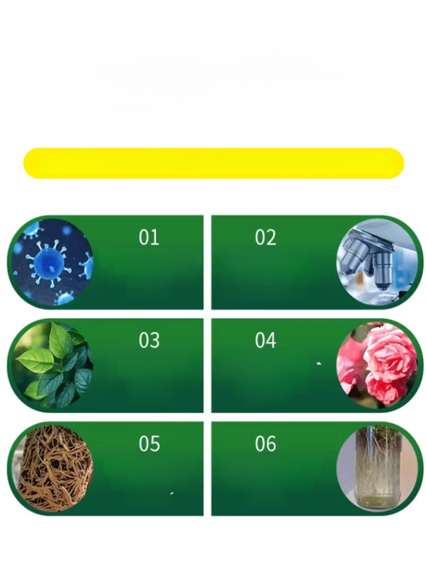 [Root Nourishing and Seedling Strengthening] Multifunctional Horticultural Fertilizer