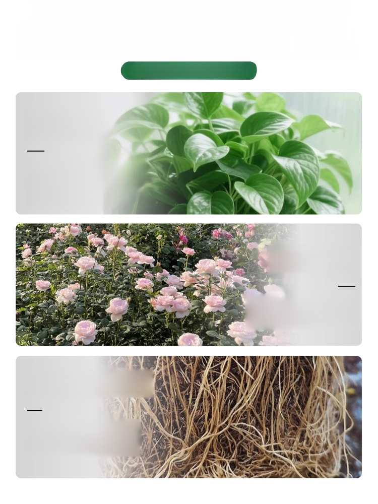 [Root Nourishing and Seedling Strengthening] Multifunctional Horticultural Fertilizer