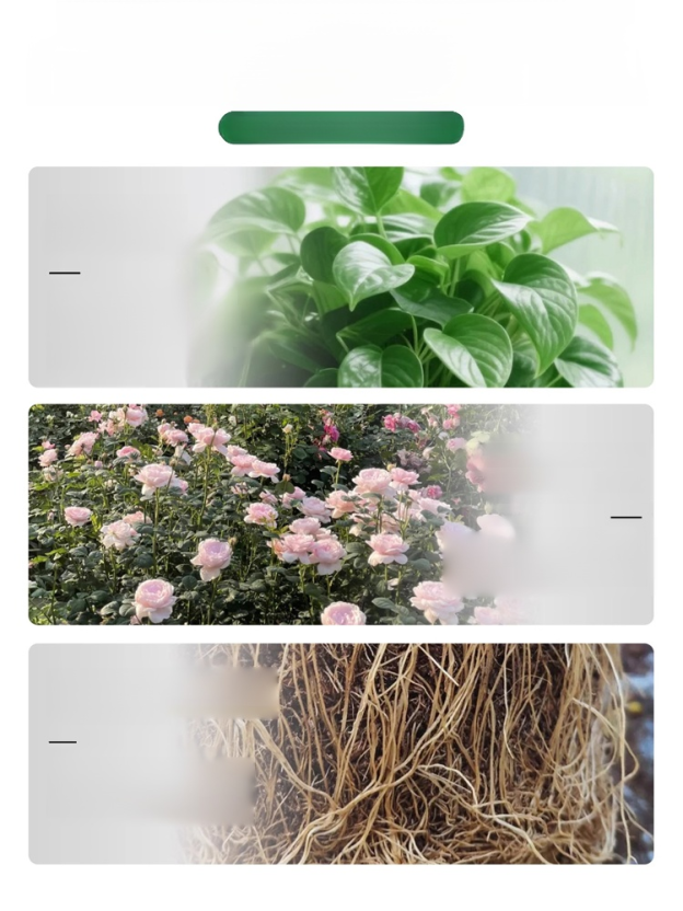 [Root Nourishing and Seedling Strengthening] Multifunctional Horticultural Fertilizer