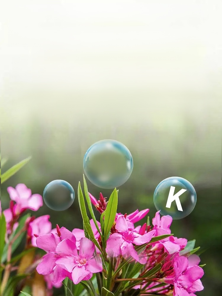 [Root Nourishing and Seedling Strengthening] Multifunctional Horticultural Fertilizer