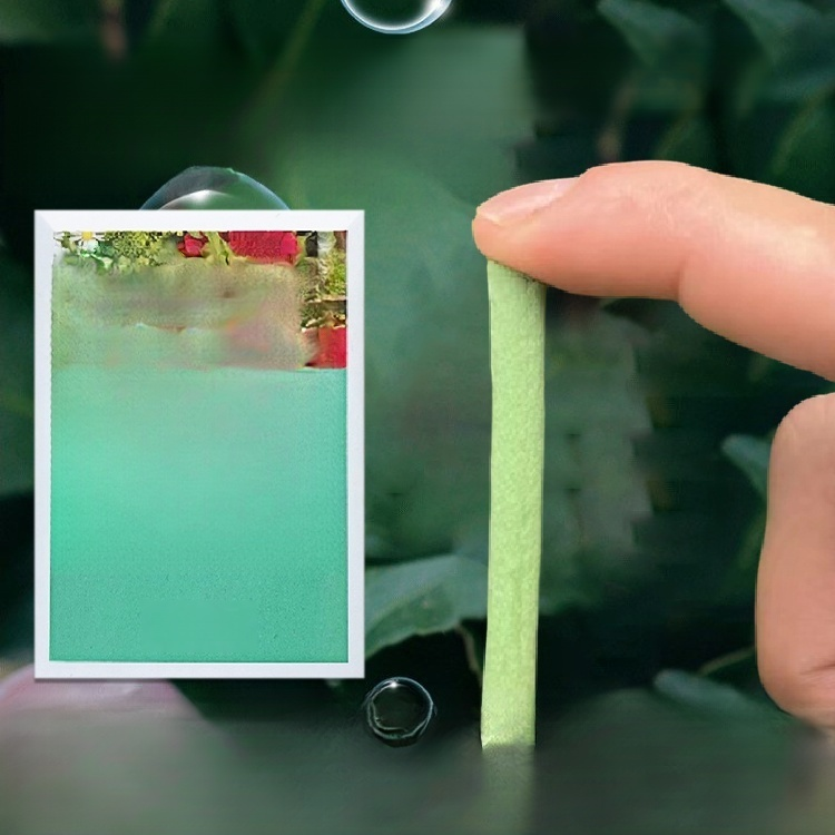 Plant slow-release nutrition bar💕🍀 Improves soil compaction and reduces soil-borne diseases