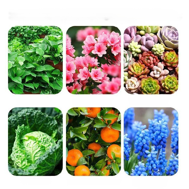 Plant slow-release nutrition bar💕🍀 Improves soil compaction and reduces soil-borne diseases