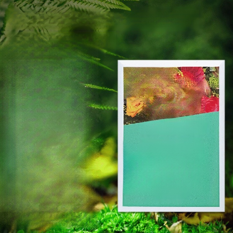 Plant slow-release nutrition bar💕🍀 Improves soil compaction and reduces soil-borne diseases