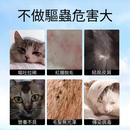 【華哥視頻同款】愛寵淨驅蟲藥 體內外一體 貓狗通用