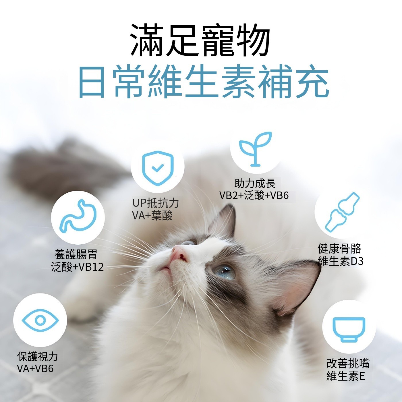 11種複合寵物維生素 貓咪狗狗通用 防掉毛 厭食 營養補充劑