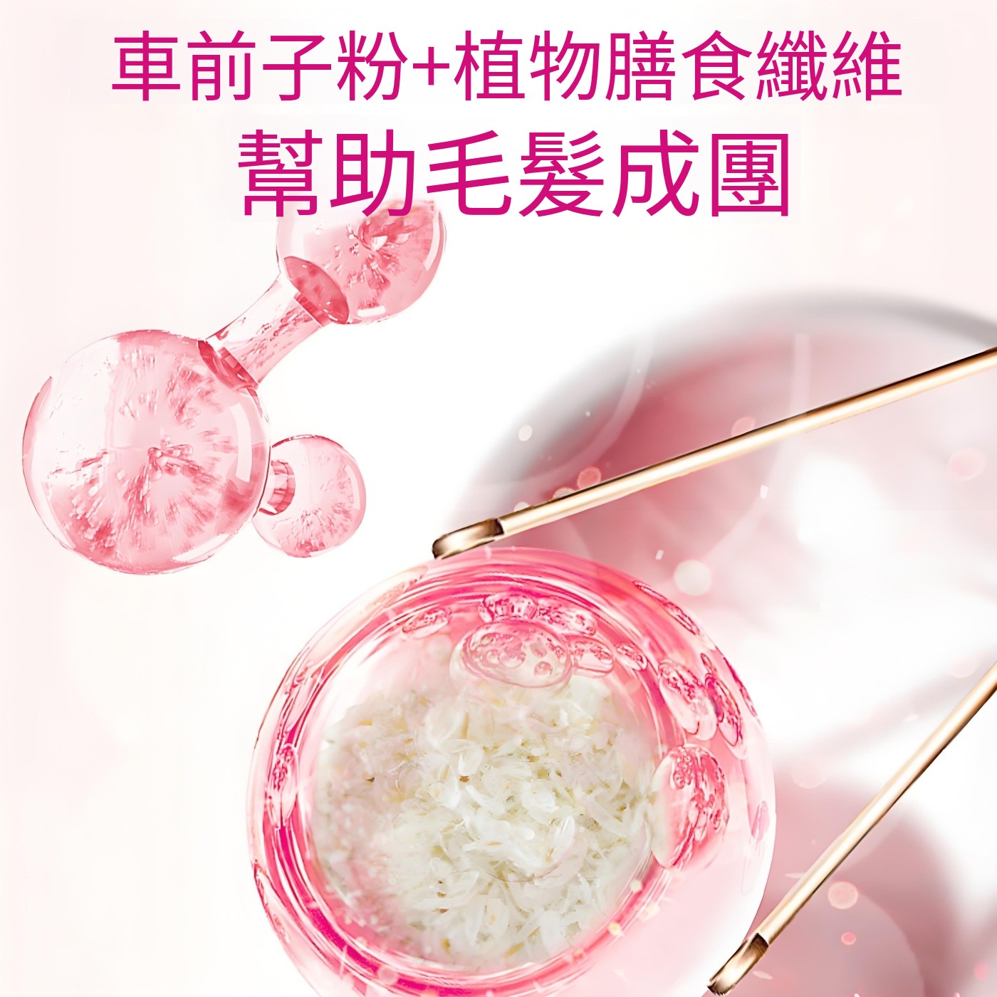 寵物益生菌車前子排毛粉活性益生菌調理腸胃順暢排毛增強食慾 貓狗通用