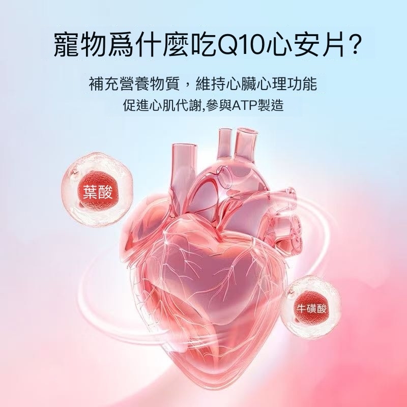 寵物輔酶 Q10 貓咪狗狗保護心臟健康 老年貓犬心臟肥大專用輔助調理
