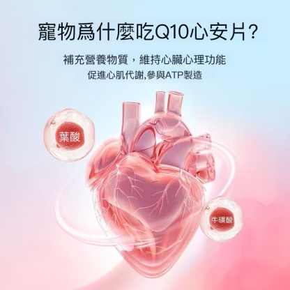 寵物輔酶 Q10 貓咪狗狗保護心臟健康 老年貓犬心臟肥大專用輔助調理