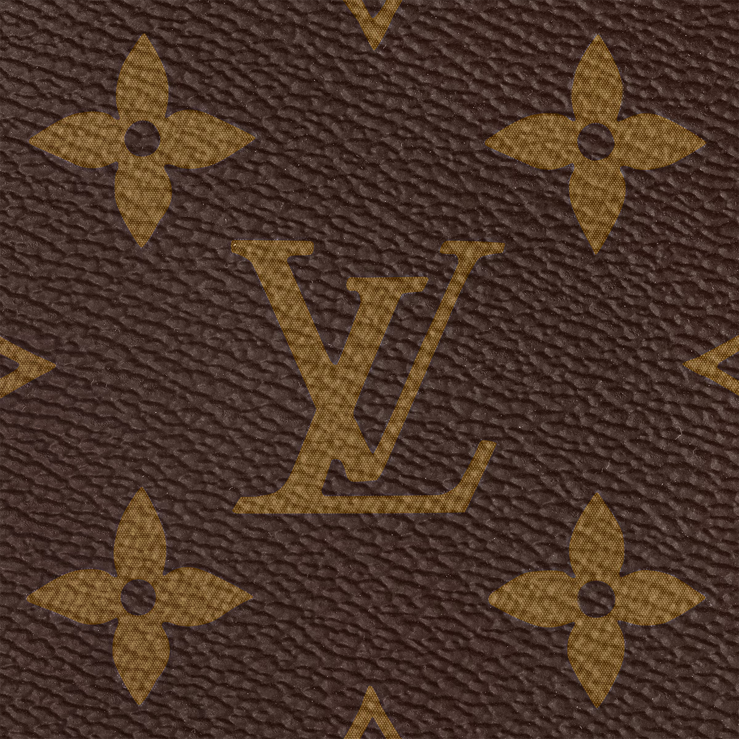 【Louis Vuitton】キャリーオール NM MM M46197