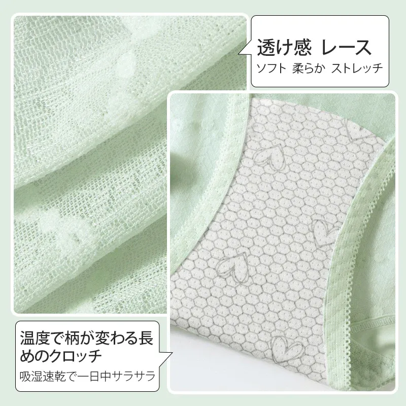 【Wacoal】レースショーツ | 長めの7A抗菌クロッチで女性のデリケート箇所を守る。肌に優しいレース素材を採用しており、チクチクせずアウターにも響かない！